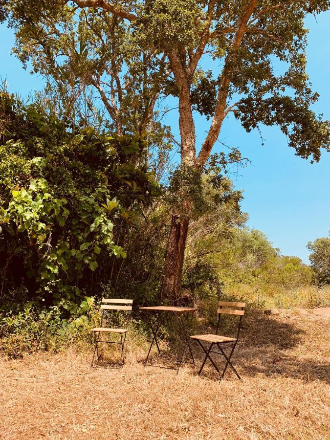 Private Eco Glamping In Aljezur Alfambras Hotell Eksteriør bilde